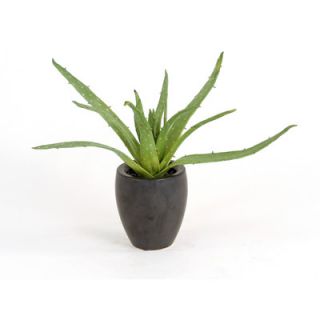 Distinctive Designs Silk Greenery Aloe Plant in Pot (Set of 2)