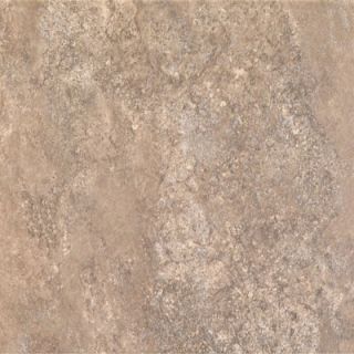 Shaw Floors Augustino 20 x 20 Floor Tile in Bruno