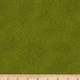 Moda Round Robin Crackle Fiddlehead Green Fabric By The YD