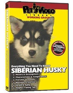 SIBERIAN HUSKY DVD Includes Dog & Puppy Training Video Pet Video Library Movies & TV