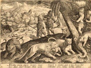Antique Hunting Print LION PANTHER INDIA Stradanus 1636   Etchings Prints