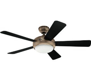 Hunter 59050 Palermo 52 Inch Brushed Bronze Ceiling Fan with Five Black/Walnut Blades   Contemporary Ceiling Fan  