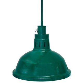 Hatco Ceiling Mount Heat Lamp   Cord Mount   Many Colors Available   DL 760 CL   Lighting Products  