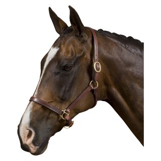 Collegiate Rolled Edge Breakaway Halter   English Saddles and Tack