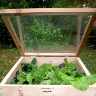 Farmer D Organics Cedar Cold Frame 3 x 3 ft.   Raised Bed & Container Gardening