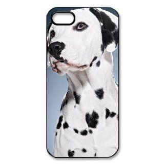 Dalmatian Puppy Photo iPhone 5 Case Back Case for iphone 5 Cell Phones & Accessories