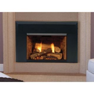 Majestic Topaz Direct Vent Gas Fireplace Insert   Gas Inserts