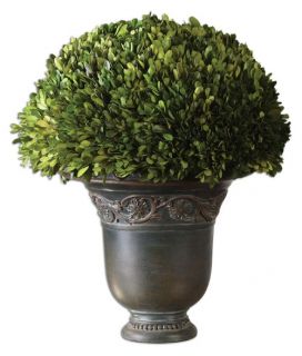 Uttermost 60092 Preserved Boxwood Globe   Topiaries