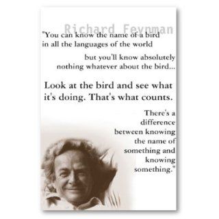 Richard Feynman Poster   Prints