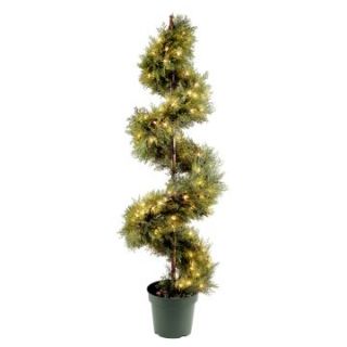 60 in. Juniper Spiral with Green Pot with Clear Lights   Topiaries