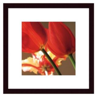 Soiree III by S. Rose Framed Wall Art   Photography