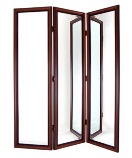 Picture Frame Mirror 3 Panel Room Divider   Room Dividers