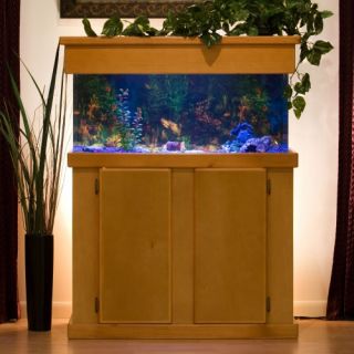 Uniquarium Rectangular Aquarium   Fish Tank Aquariums