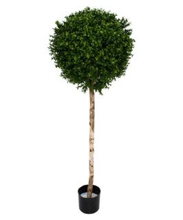 4.5 ft. Boxwood Ball Topiary on Stem   Topiaries