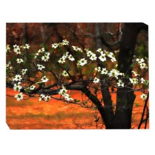 West of the Wind Dogwood At Sunset Outdoor Canvas Art   Outdoor Wall Art