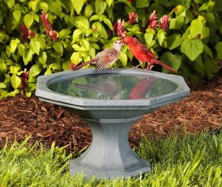 Newton Bird Bath Gray  Birdbath Accessories  Patio, Lawn & Garden