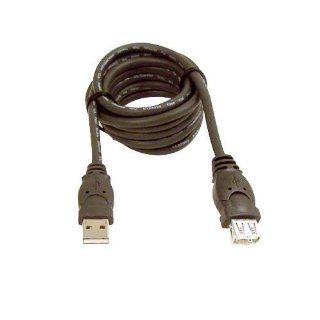 QVS CC2210C 10 USB Extension 2.0 Cable ? 10 Feet Computers & Accessories