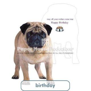 PaperHouse Productions Pug Birthday Card   Birthday Greeting Cards