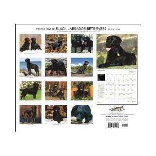 Labrador Retrievers, Black For the Love of 2010 Deluxe Wall (Multilingual Edition) BrownTrout Publishers Inc 9781421651033 Books