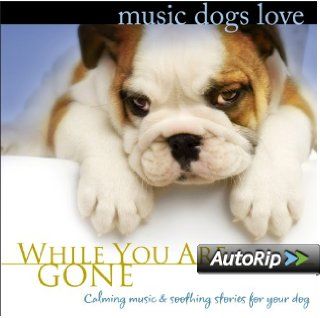 Music Dogs Love While You Are Gone Music