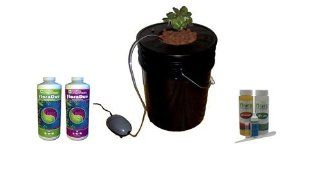 Flora Hydroponics 3.5 Gallon Black Bubble Bucket Deep Water Culture System Bonus Pack   Home And Garden Products