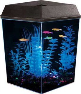 Aquarius Aq25000g Glofish 2 1/2 Corner Aquarium Kit 