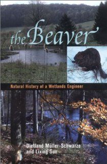 The Beaver Natural History of a Wetlands Engineer (Comstock books) (9780801440984) Dietland Muller Schwarze, Lixing Sun Books