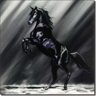 Dark Splendor by Kim McElroy   Equine Horse Art Ceramic Accent Tile 8" x 8" Kitchen Shower Backsplash    