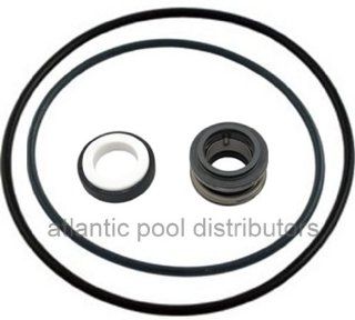 Sta Rite ABG Above Ground Pool Pump Seal Kit  Other Products  Patio, Lawn & Garden