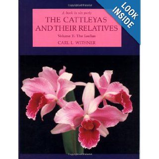 The Laelias (Cattleyas & Their Relatives) Carl L. Withner 9780881921618 Books