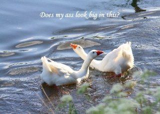 Geese. This delightful pair are from Lismore, Co. Waterford.  Greeting Cards 