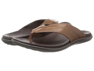 ECCO Chander Thong Sandal Mens Shoes (Brown)