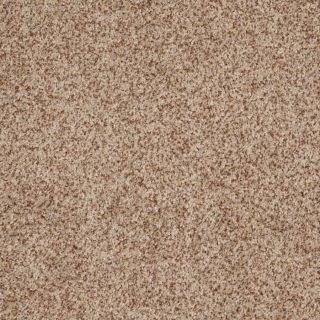 STAINMASTER Trusoft Private Oasis III Florence Textured Indoor Carpet