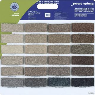 Shaw Multicolor Polyester Texture Carpet Sample