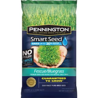 Pennington Smart Seed 3 lb Sun and Shade Fescue Grass Seed Mixture