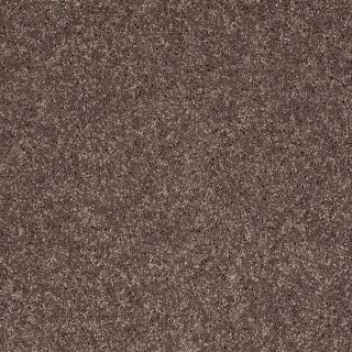 Shaw 7L52800703 Brown Textured Indoor Carpet