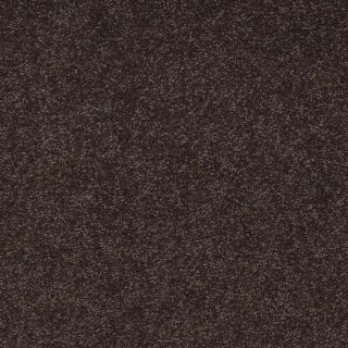 Shaw Dark Chocolate Textured Indoor Carpet