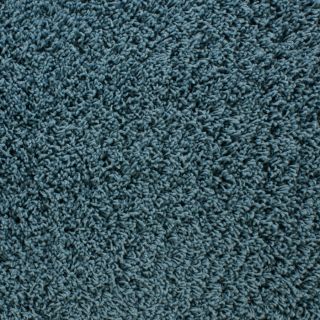 STAINMASTER Active Family Dorchester Blue Frieze Indoor Carpet