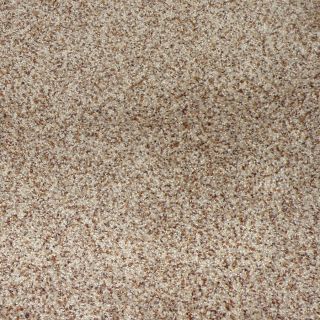 STAINMASTER Stanfield Chestnut Hill Cut Pile Indoor Carpet