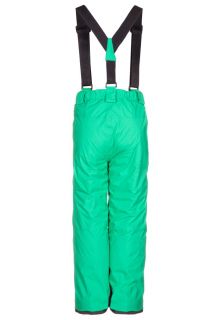 The North Face SKYWARD   Waterproof trousers   green