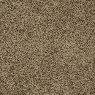 STAINMASTER Trusoft Private Oasis III Bahia Textured Indoor Carpet