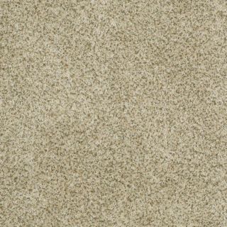 STAINMASTER Trusoft Private Oasis III Sea Foam Textured Indoor Carpet