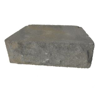 allen + roth Cassay Arcadian Chiselwall Retaining Wall Block (Common 12 in x 4 in; Actual 12 in x 4.1 in)