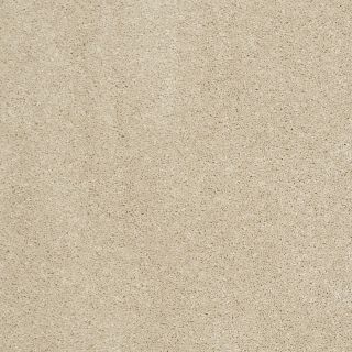 STAINMASTER Trusoft Luscious III Sandstone Textured Indoor Carpet