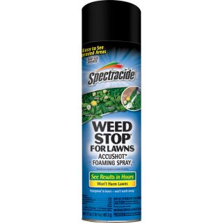 Spectracide 17 oz Weed Stop for Lawns Accushot Foaming Spray
