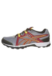 Reebok TRAIL RUN RS   Trail running shoes   grey