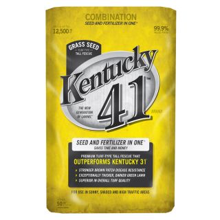 Kentucky 41 50 lbs Sun and Shade Fescue Grass Seed