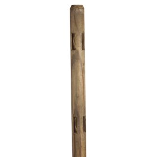 Round Pressure Treated Wood Fence Corner Post (Common 5 ft; Actual 5.5 ft)