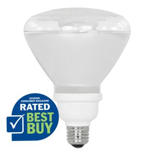 Bright Effects 2 Pack 90 Watt Equivalent Indoor/Outdoor Compact Fluorescent Flood Light Bulb