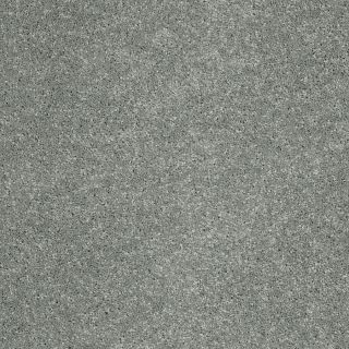 STAINMASTER Trusoft Luscious II Spa Textured Indoor Carpet